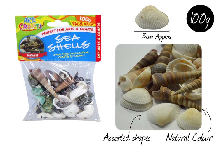 Sea Shells 100g Asst. Styles 3cm